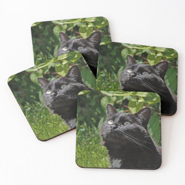 Item preview, r 2531/  8  Chat-Cat  " Le Tictac " Attentif "  finition 2020 par Okaio Créations - Olavia&Olao  designed and sold by o.okaïo.