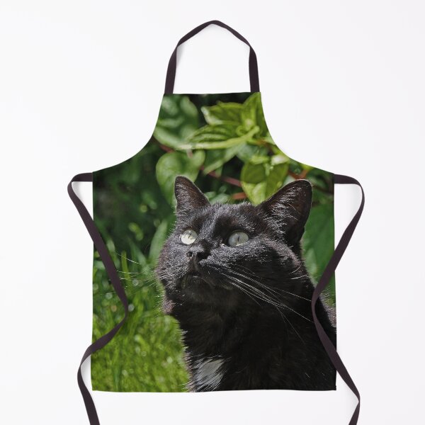 Item preview, r 2531/ 8 Chat-Cat " Le Tictac " Attentif " finition 2020 par Okaio Créations - Olavia&Olao designed and sold by o.okaïo.