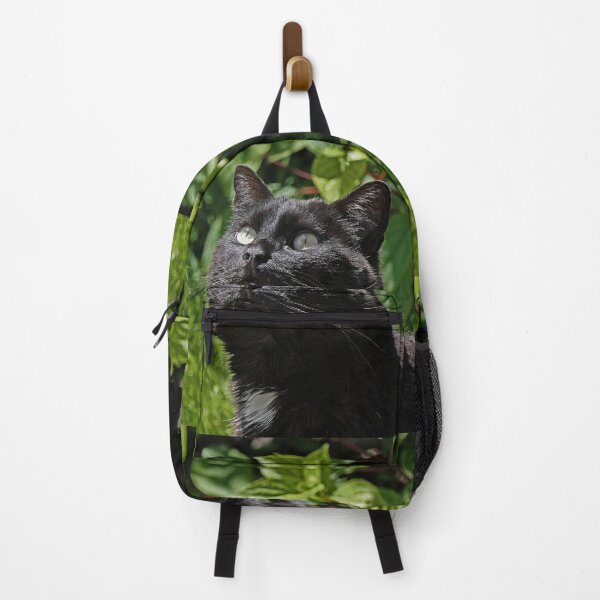 Item preview, r 2531/ 8 Chat-Cat " Le Tictac " Attentif " finition 2020 par Okaio Créations - Olavia&Olao designed and sold by o.okaïo.