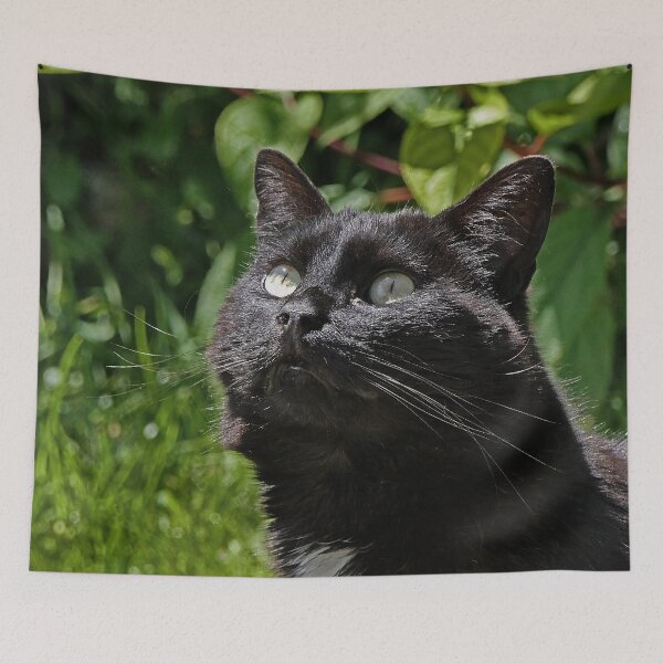 Item preview, r 2531/  8  Chat-Cat  " Le Tictac " Attentif "  finition 2020 par Okaio Créations - Olavia&Olao  designed and sold by o.okaïo.