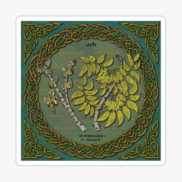 Tree Calendar Ash Tree Sticker