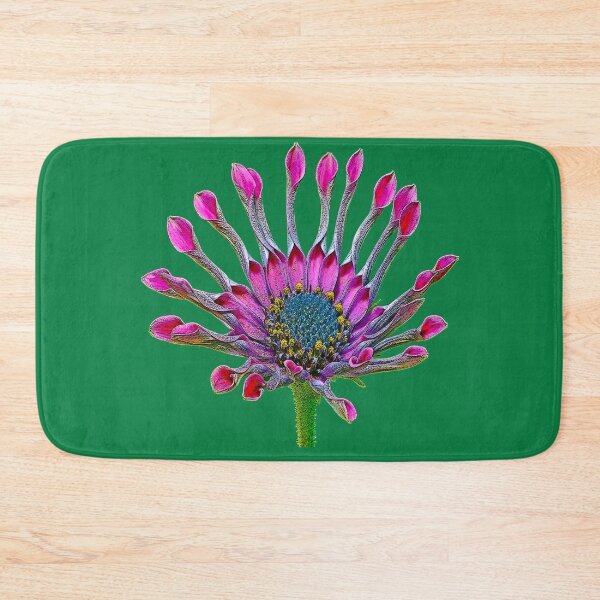 Item preview, Daisy - Osteospermum 3 designed and sold by MG-Photo.