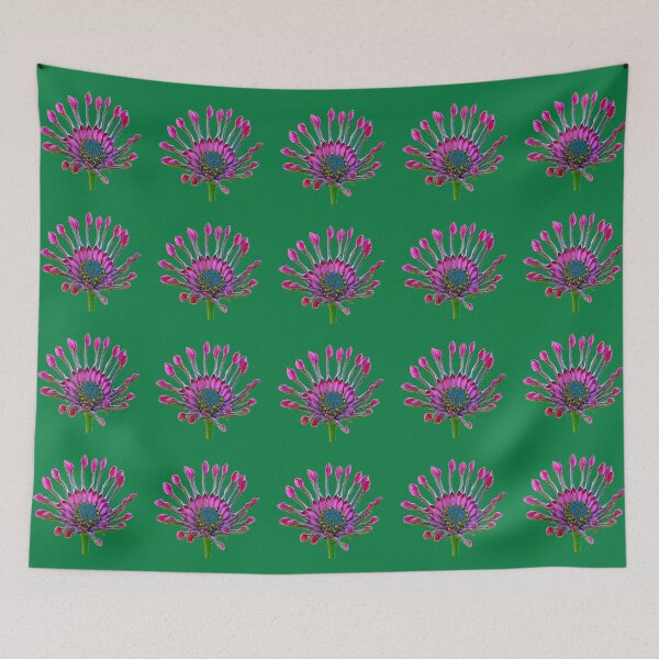Item preview, Daisy - Osteospermum 3 designed and sold by MG-Photo.