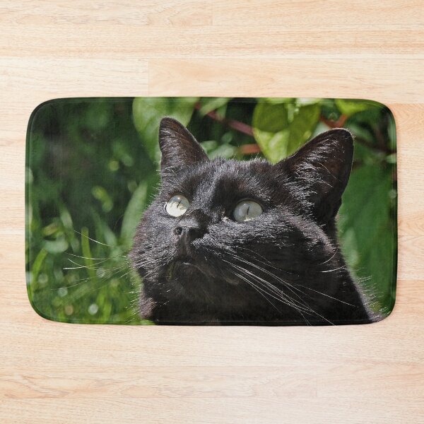 Item preview, r 2531/  8  Chat-Cat  " Le Tictac " Attentif "  finition 2020 par Okaio Créations - Olavia&Olao  designed and sold by o.okaïo.