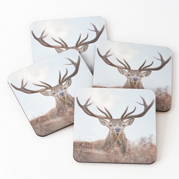 Item preview, Red Deer Stag in Mist designed and sold by dgwildlife.