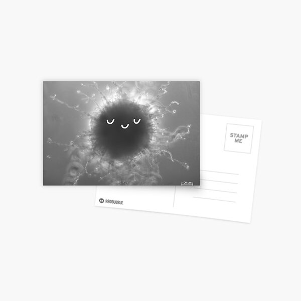 Fungal eclipse Postcard