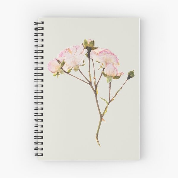 Item preview, Dried vintage roses designed and sold by Nyanko-Sempai.