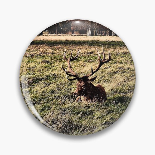 Item preview, England -Bushy Park- Beautiful Deer designed and sold by joabaj.