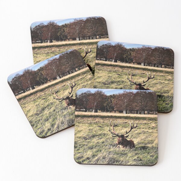 Item preview, England -Bushy Park- Beautiful Deer designed and sold by joabaj.