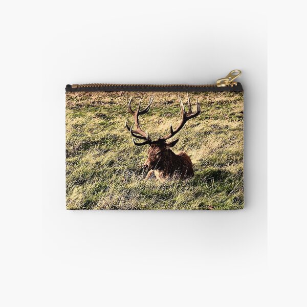 Item preview, England -Bushy Park- Beautiful Deer designed and sold by joabaj.