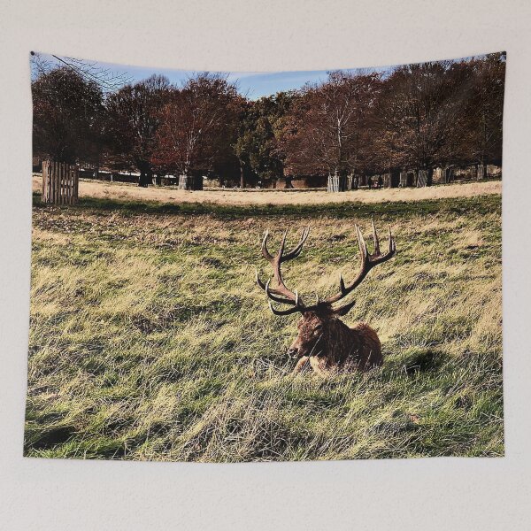Item preview, England -Bushy Park- Beautiful Deer designed and sold by joabaj.