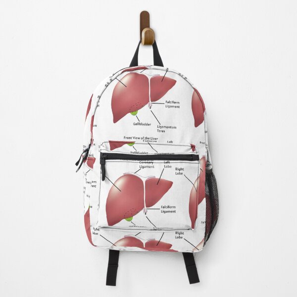Item preview, Front View of the Liver | human liver anatomy poster | educational biology poster designed and sold by KARTICK DUTTA.