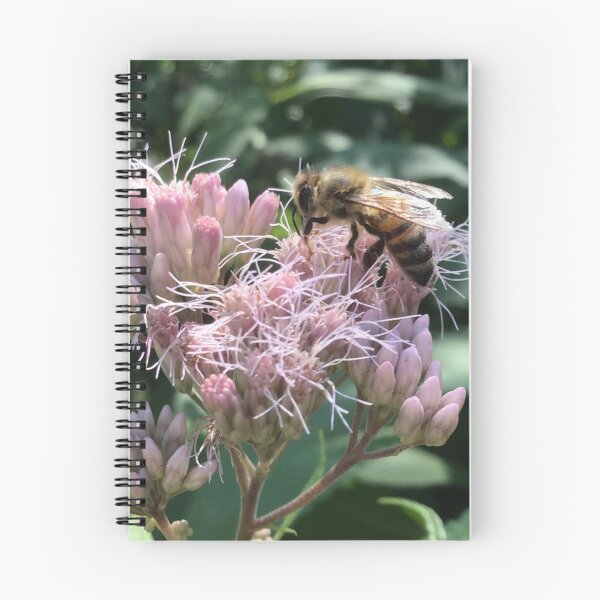 Item preview, Honey Bee On Joe Pye Flower  designed and sold by LoveOfNature.