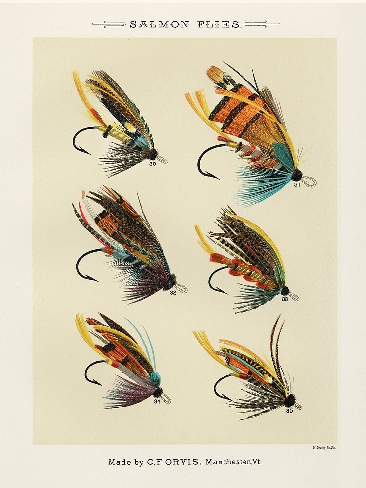 Salmon Fly Fishing - Salmon Flies Art | Poster