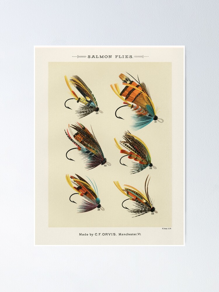 Salmon Fly Fishing - Salmon Flies Art | Poster