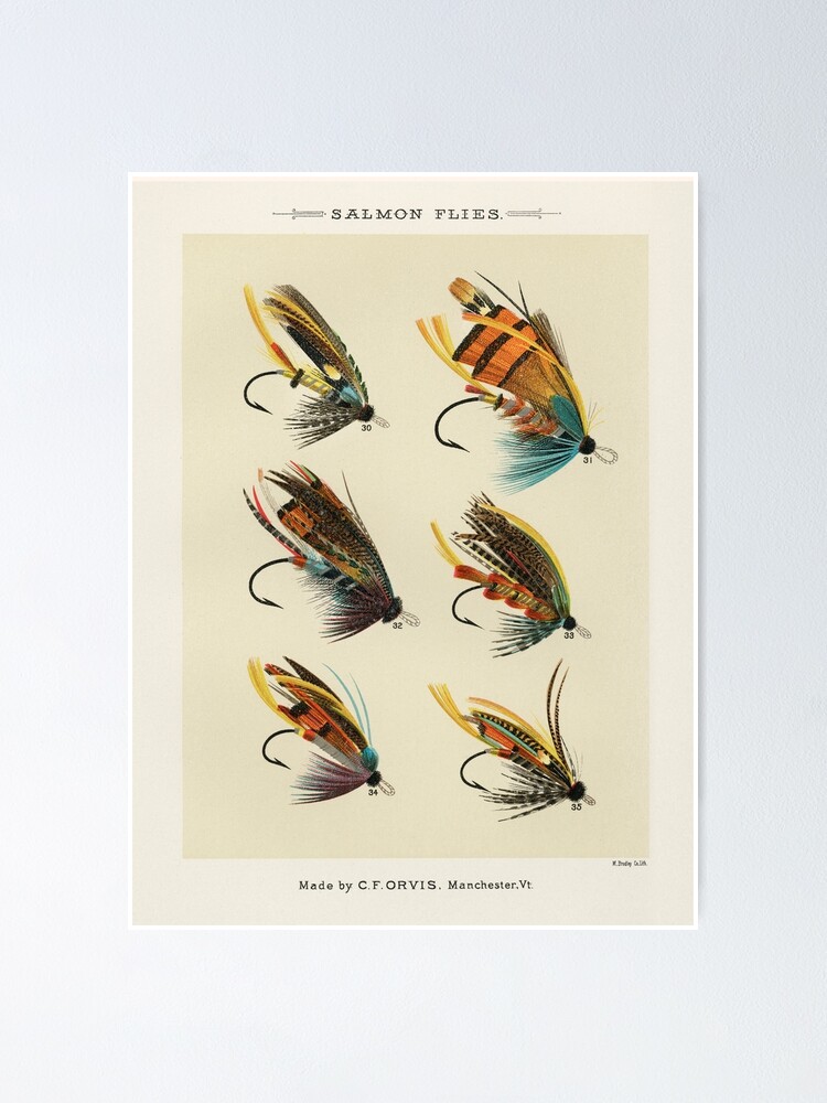 Framed Sea-trout and trout fly collection - Salmon Fishing Flies