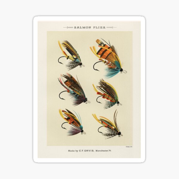 Vista previa del artículo con la obra «Pesca con mosca del salmón: el arte de la pesca con mosca del salmón», diseñado y vendido por SFTStudio.