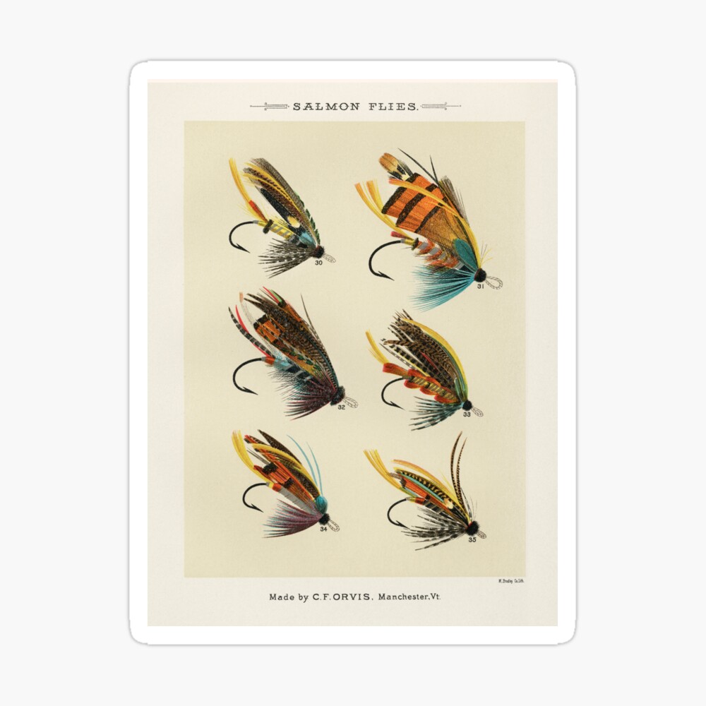 Salmon Fly Fishing - Salmon Flies Art Greeting Card for Sale by SFTStudio