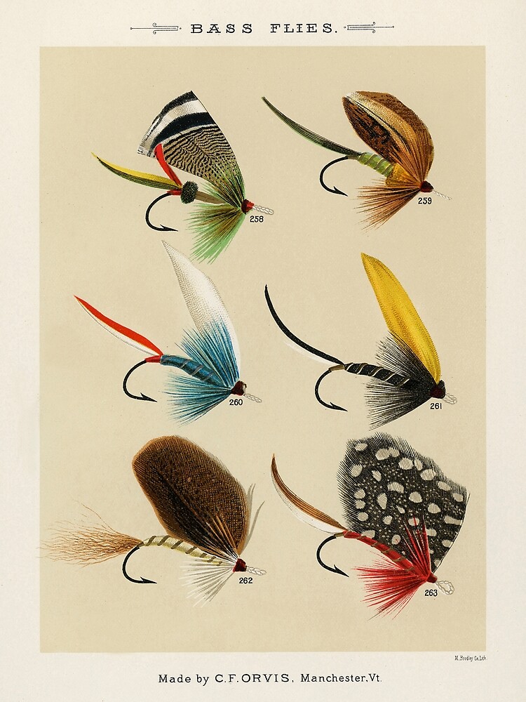Bass Flies - Bass fly fishing Poster for Sale by SFTStudio