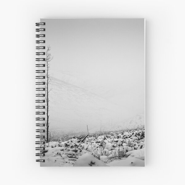 Item preview, Deforestation - Northumberland designed and sold by David Lewins.