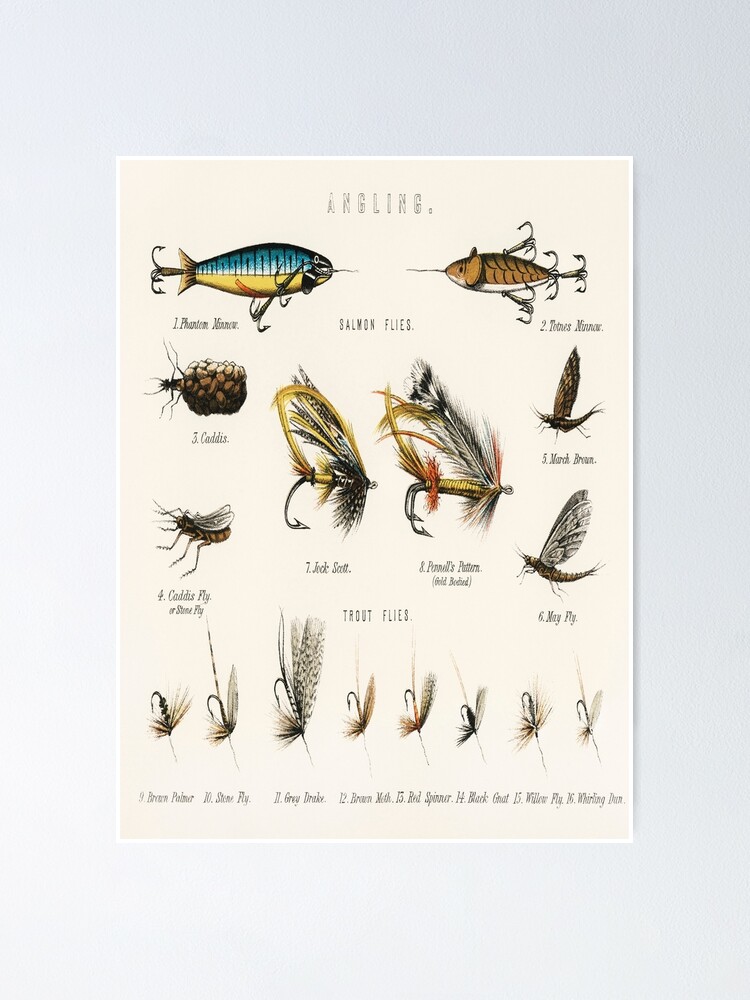 Angling Baits - Fly Fishing Poster for Sale by SFTStudio