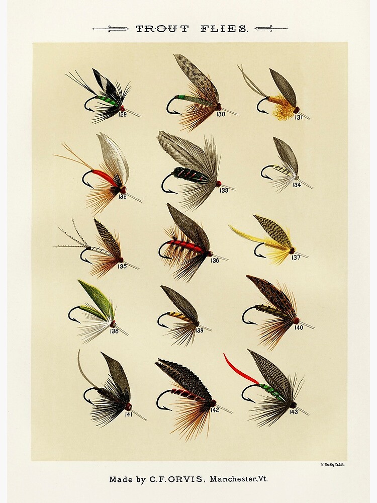 Vintage Fly Fishing Print - Trout Flies Art Board Print for Sale by  SFTStudio