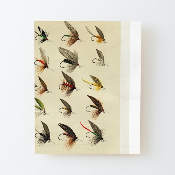 Vintage Fly Fishing Art Print Artwork Brown Trout Fishing Lures Cabin Wall  Decor