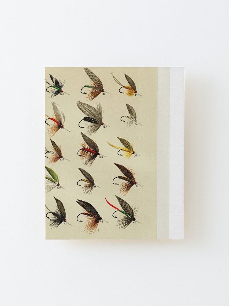 Vintage Fly Fishing Print - Trout Flies Mounted Print for Sale by