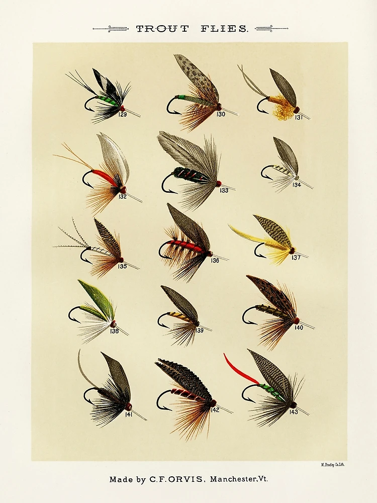 Vintage Fly Fishing Lures Patent Art Print Brook Trout Hunting Cabin Wall  Decor