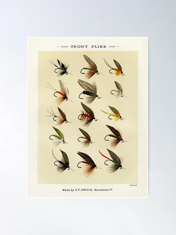 Impression de pêche à la mouche vintage - mouches à truite | Poster
