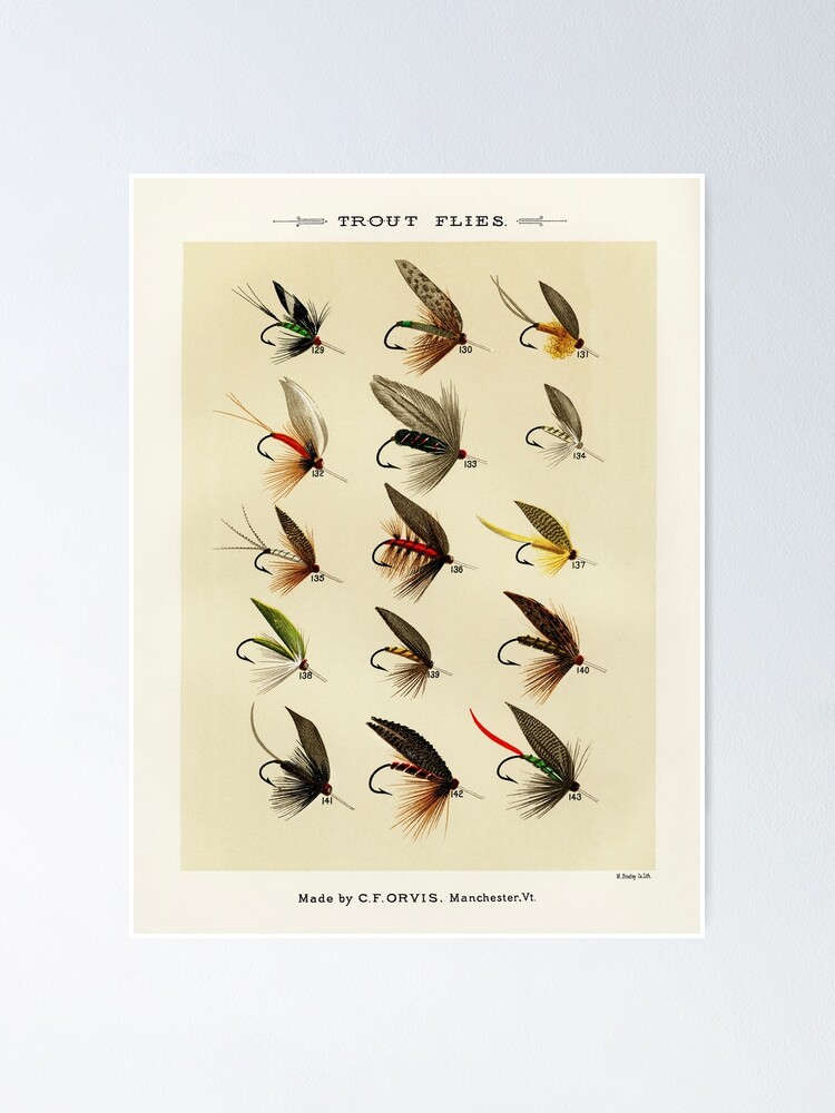 Vintage Fly Fishing Print - Trout Flies Poster for Sale by