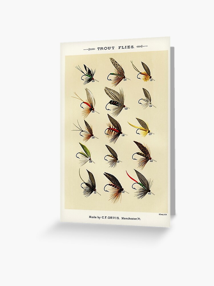 Vintage Fly Fishing Print - Trout Flies Greeting Card for Sale by  SFTStudio
