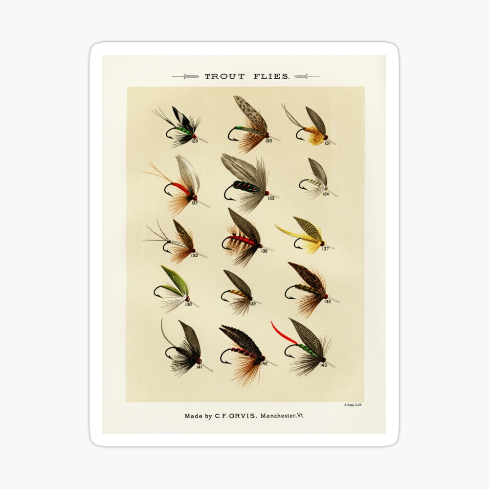 Vintage Fly Fishing Print - Trout Flies Photographic Print for