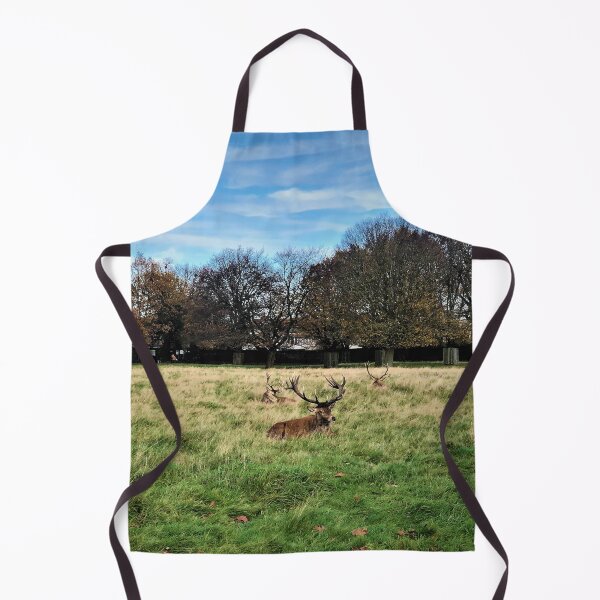 Item preview, England -Bushy Park- Resting Deer designed and sold by joabaj.