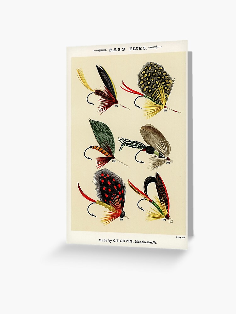 Fly Fishing Lure - Bass Flies Greeting Card for Sale by SFTStudio