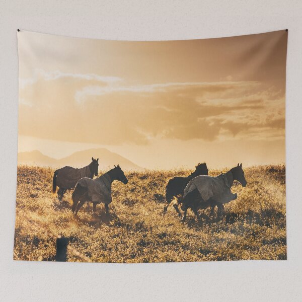 Item preview, wild horse designed and sold by franckreporter.