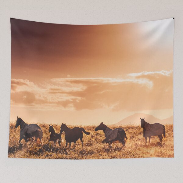 Item preview, wild horse designed and sold by franckreporter.