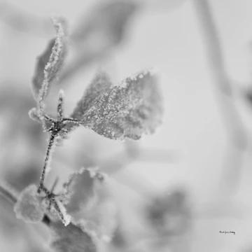 Artwork thumbnail, Inconspicuousness  by Randi Grace Nilsberg
