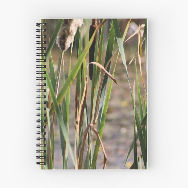 Item preview, Grasses on Buttertubs Marsh designed and sold by Bobtherandomcat.