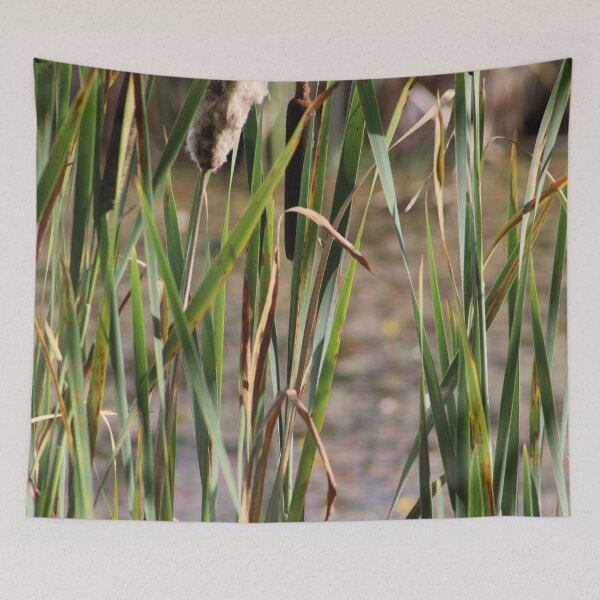 Item preview, Grasses on Buttertubs Marsh designed and sold by Bobtherandomcat.