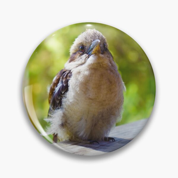Item preview, Little Kookaburra Friend by Cherished Lights designed and sold by CherishedLights.