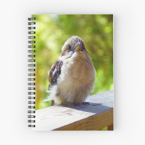 Item preview, Little Kookaburra Friend by Cherished Lights designed and sold by CherishedLights.
