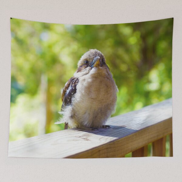 Item preview, Little Kookaburra Friend by Cherished Lights designed and sold by CherishedLights.