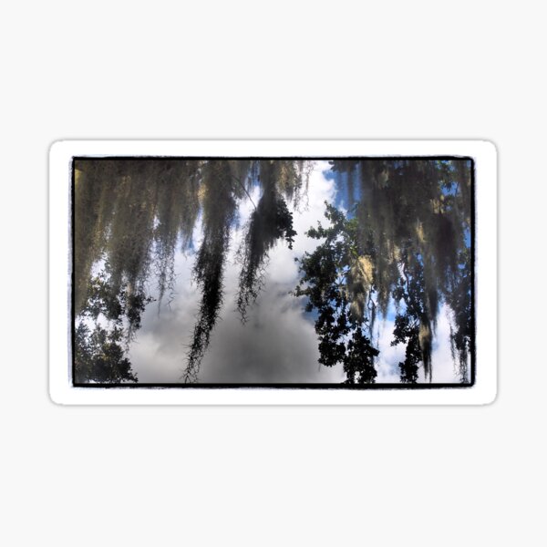 Item preview, Spanish Moss designed and sold by Cyn Piromalli.