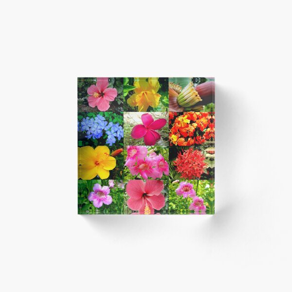 Flower Matrix Hibiscus Acrylic Block