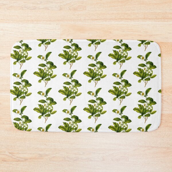 Item preview, Camellia Sinensis: Botanical Tea Plant Illustration designed and sold by Happy Puppy Print On Demand.