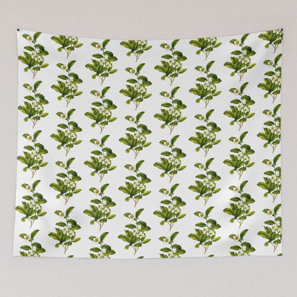Item preview, Camellia Sinensis: Botanical Tea Plant Illustration designed and sold by Happy Puppy Print On Demand.