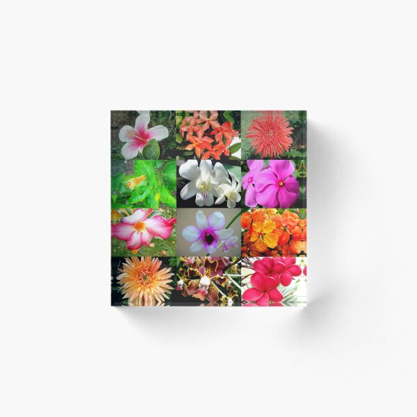 Flower Matrix Hibiscus, Orchids, African Daisies Acrylic Block