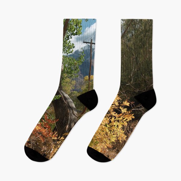 Item preview, Nature photography in the fall season designed and sold by Ventures1.