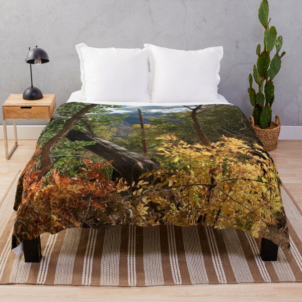 Item preview, Nature photography in the fall season designed and sold by Ventures1.